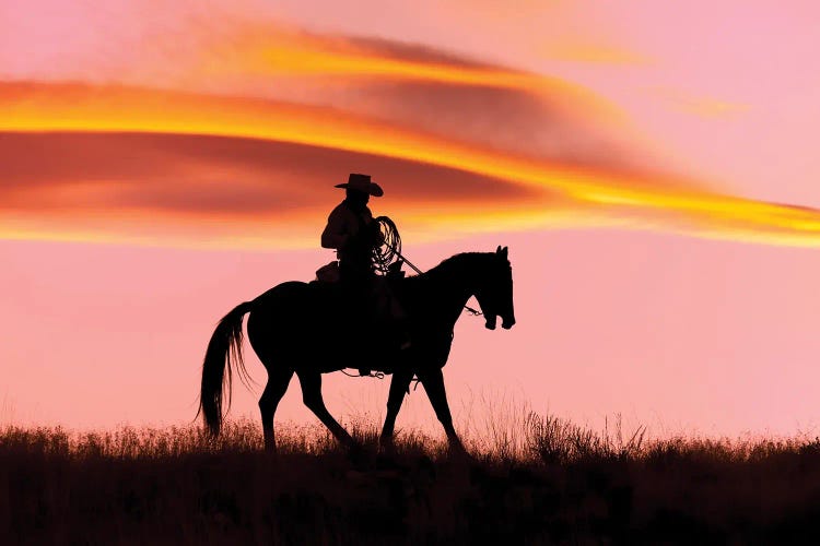 Cowboy Silhouette IX