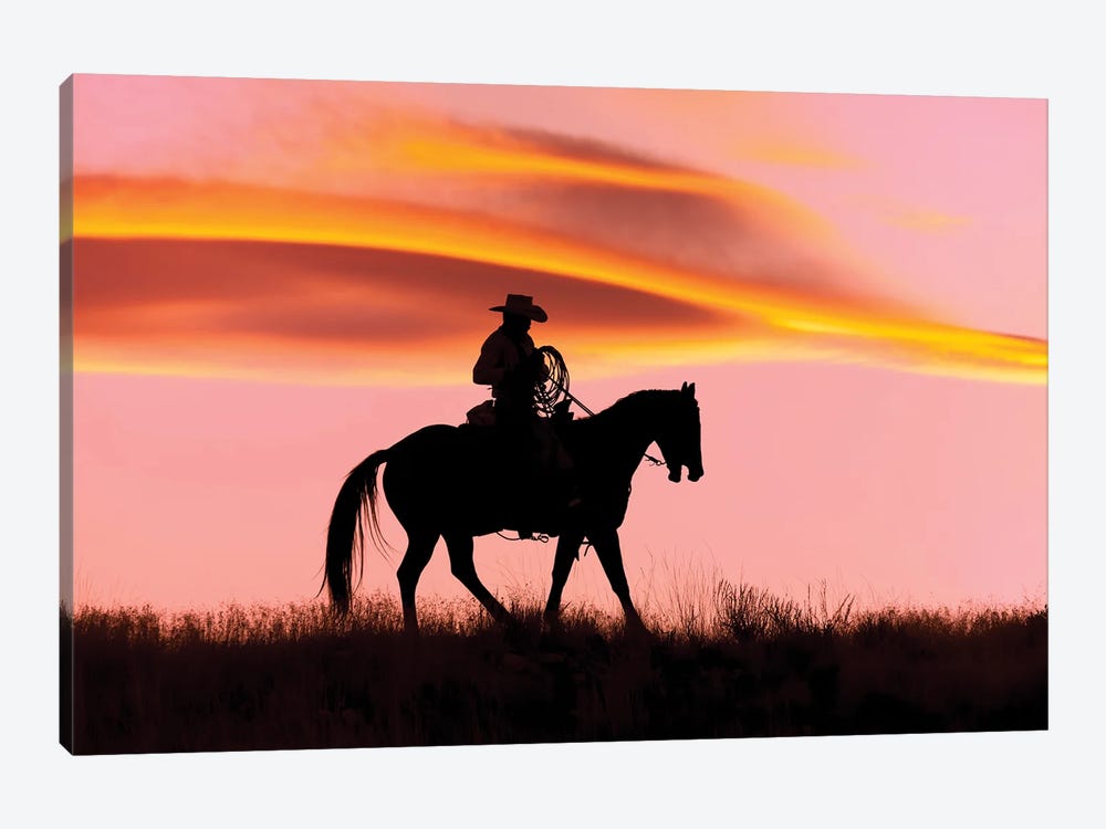 Cowboy Silhouette IX by Janet Fikar 1-piece Canvas Wall Art
