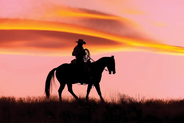 Janet Fikar: Cowboy Silhouette IX by Janet Fikar
