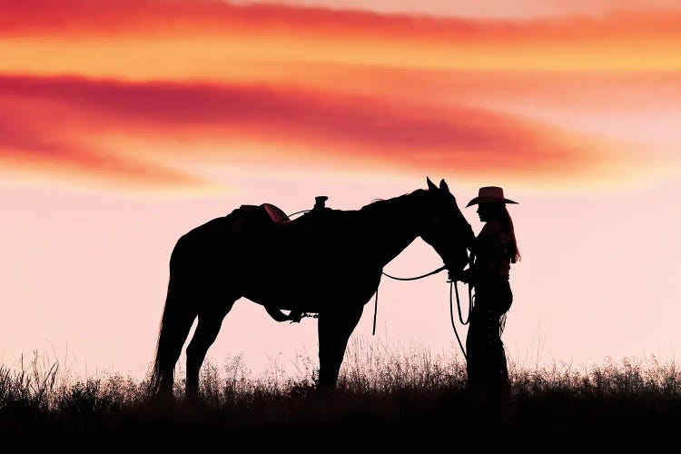 Cowboy Silhouette X