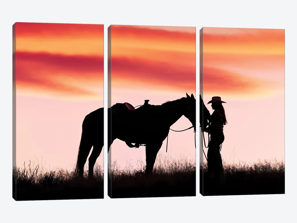 Cowboy Silhouette X by Janet Fikar 3-piece Canvas Print