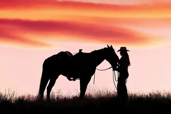 Western Décor: Cowboy Silhouette X by Janet Fikar