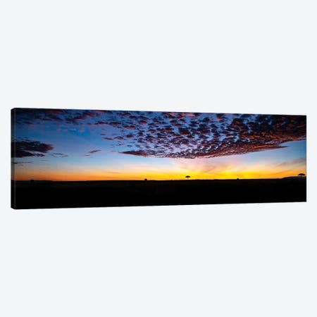 Early Morning Sky Canvas Print #JFK21} by Janet Fikar Canvas Art Print