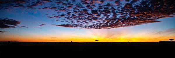 Janet Fikar: Early Morning Sky by Janet Fikar