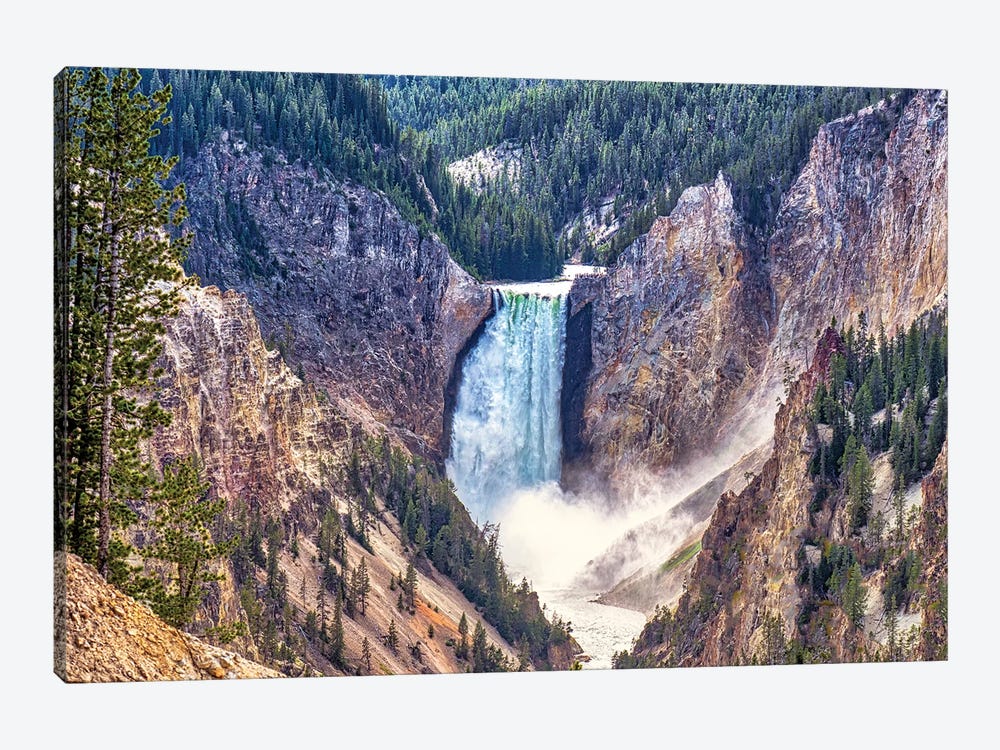 Yellowstone Beauty by Janet Fikar 1-piece Canvas Art Print