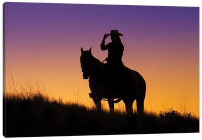 Cowboy Silhouette XIII Canvas Art Print - Janet Fikar