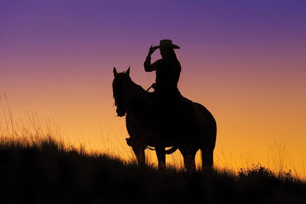 Janet Fikar: Cowboy Silhouette XIII by Janet Fikar
