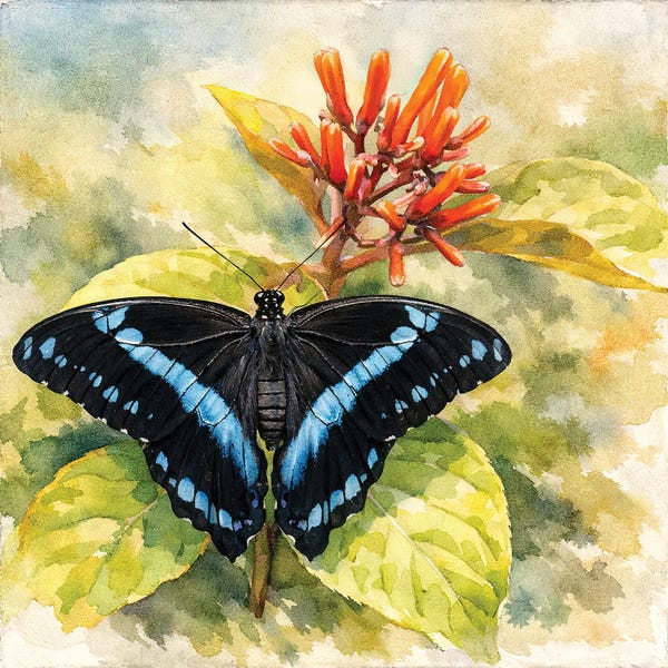 Fine Art Print: Sitting Pretty by Janet Fikar