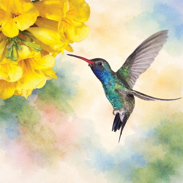 Beautiful Hummer