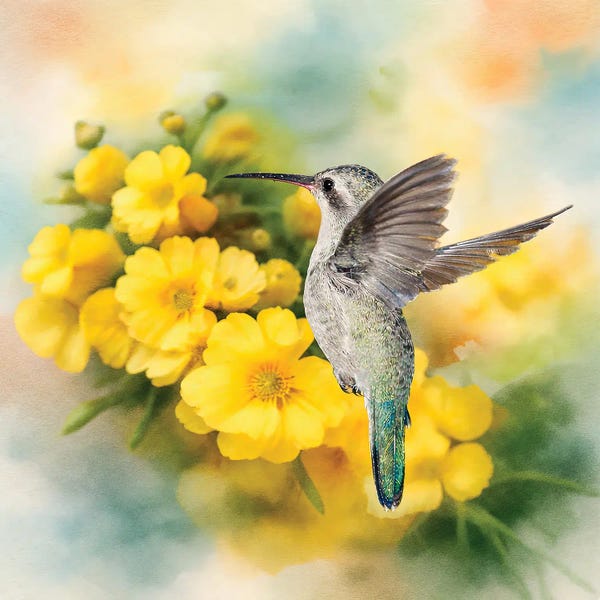 Janet Fikar: Isn't She Lovely by Janet Fikar