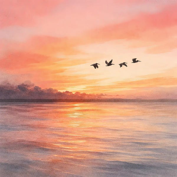 Janet Fikar: Peaceful Beginnings by Janet Fikar