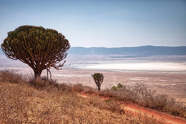 Janet Fikar: Overlooking The Crater by Janet Fikar