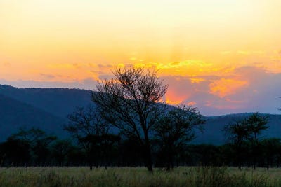 Fine Sunset by Janet Fikar framed wall art