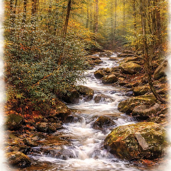 Janet Fikar: Traversing Creek by Janet Fikar