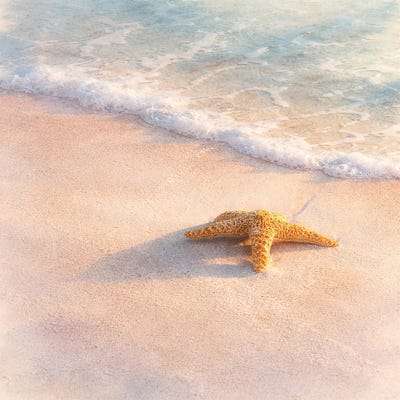 Janet Fikar - Gallery Posters: Seaside Splendor by Janet Fikar