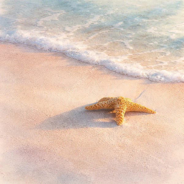 Seaside Splendor