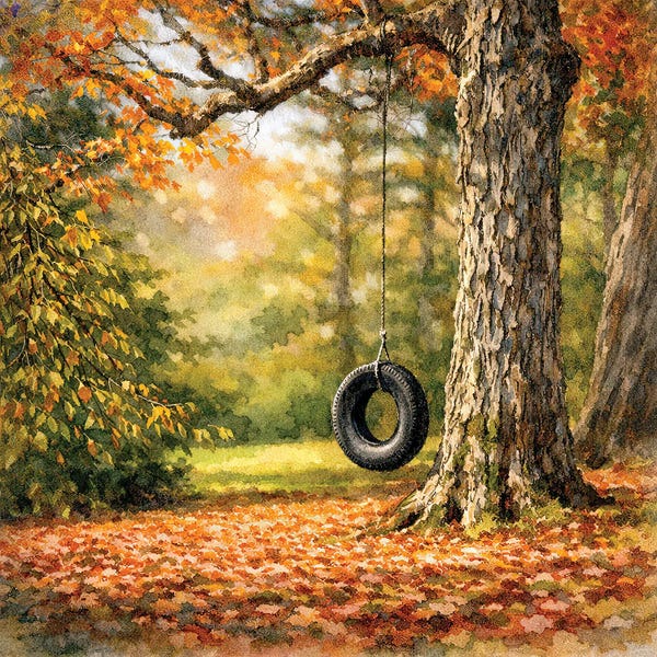 Janet Fikar: Country Tire Swing by Janet Fikar