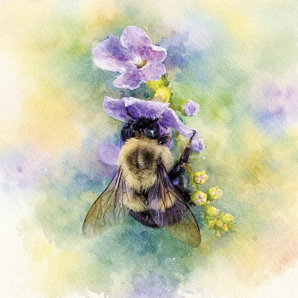 Janet Fikar: The Great Pollinator by Janet Fikar