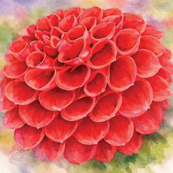 Janet Fikar: Dahlia Beauty by Janet Fikar