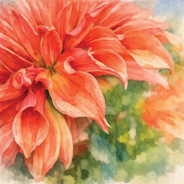 Janet Fikar: Dahlia Bloom by Janet Fikar