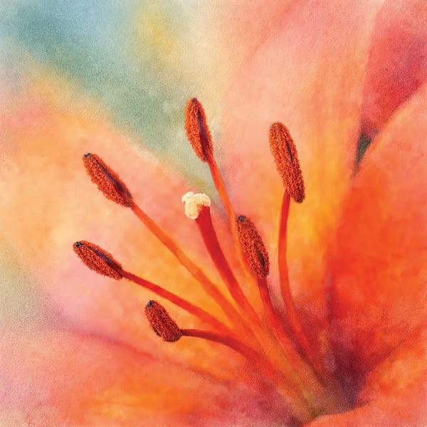 Janet Fikar: Inside Beauty by Janet Fikar