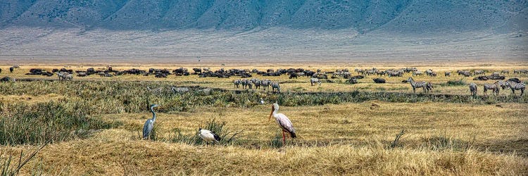 African Panorama