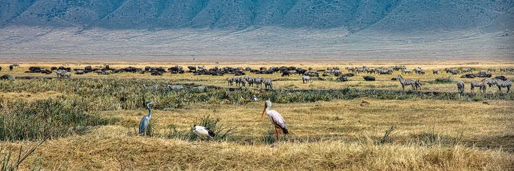 African Panorama