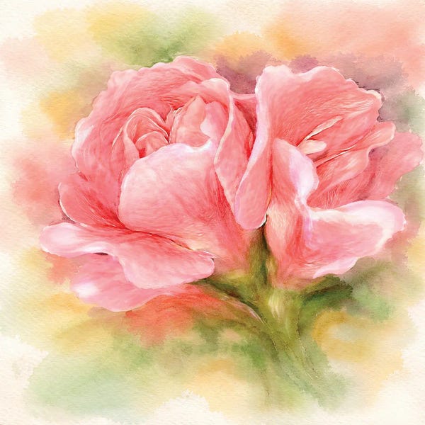 Rose Cluster
