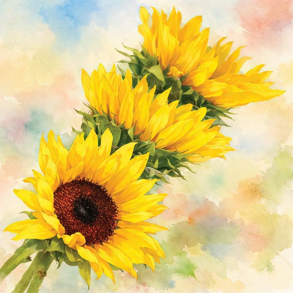 Janet Fikar: Sunflower Trio by Janet Fikar