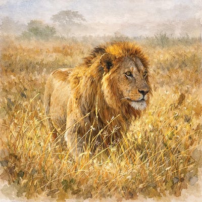 Canvas Print: African Lion by Janet Fikar - thumbnail