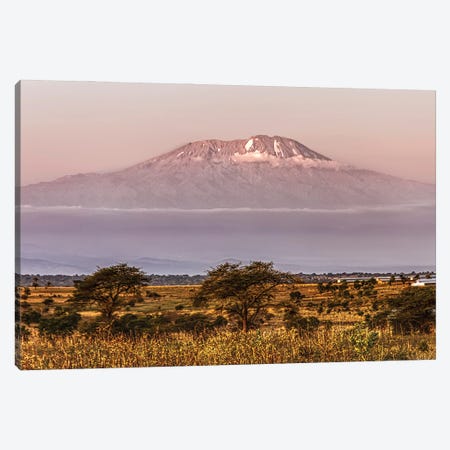 Mount Kilimanjaro Canvas Print #JFK35} by Janet Fikar Canvas Print