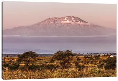 Mount Kilimanjaro Canvas Art Print - Janet Fikar