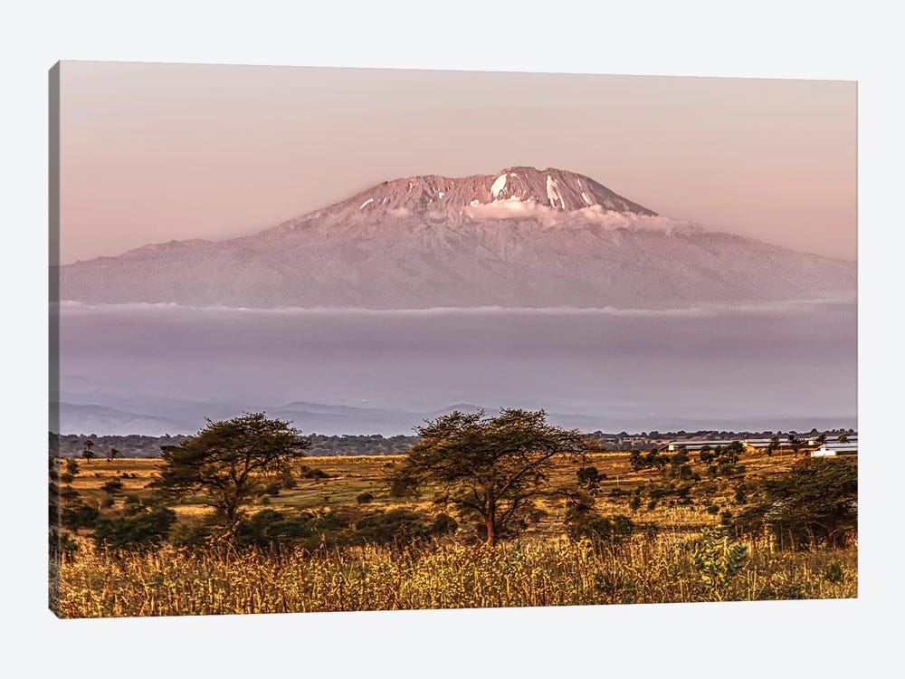 Mount Kilimanjaro by Janet Fikar 1-piece Canvas Art