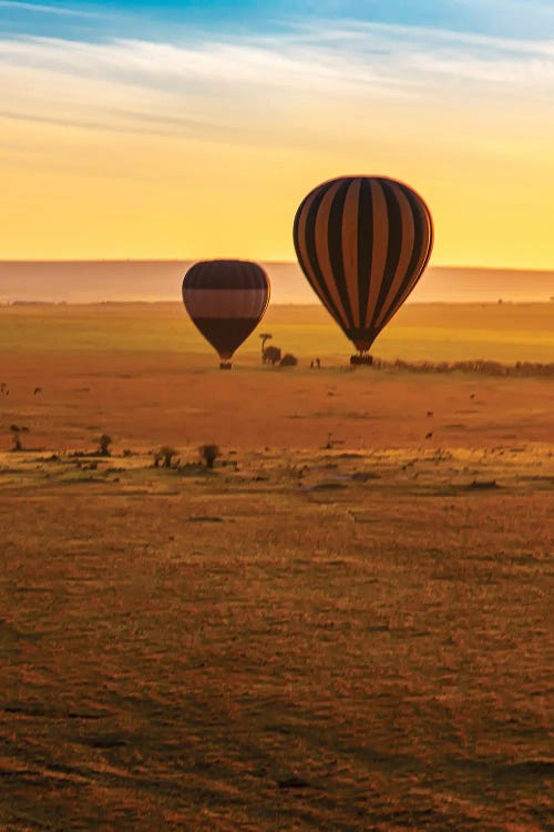 Hot Air Over Mara II by Janet Fikar wall art