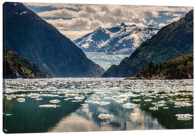 Alaskan Fjord Canvas Art Print - Glacier & Iceberg Art