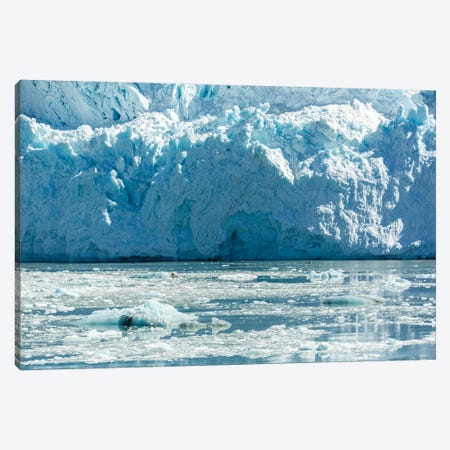 Hubbard Glacier Canvas Print #JFK44} by Janet Fikar Canvas Art