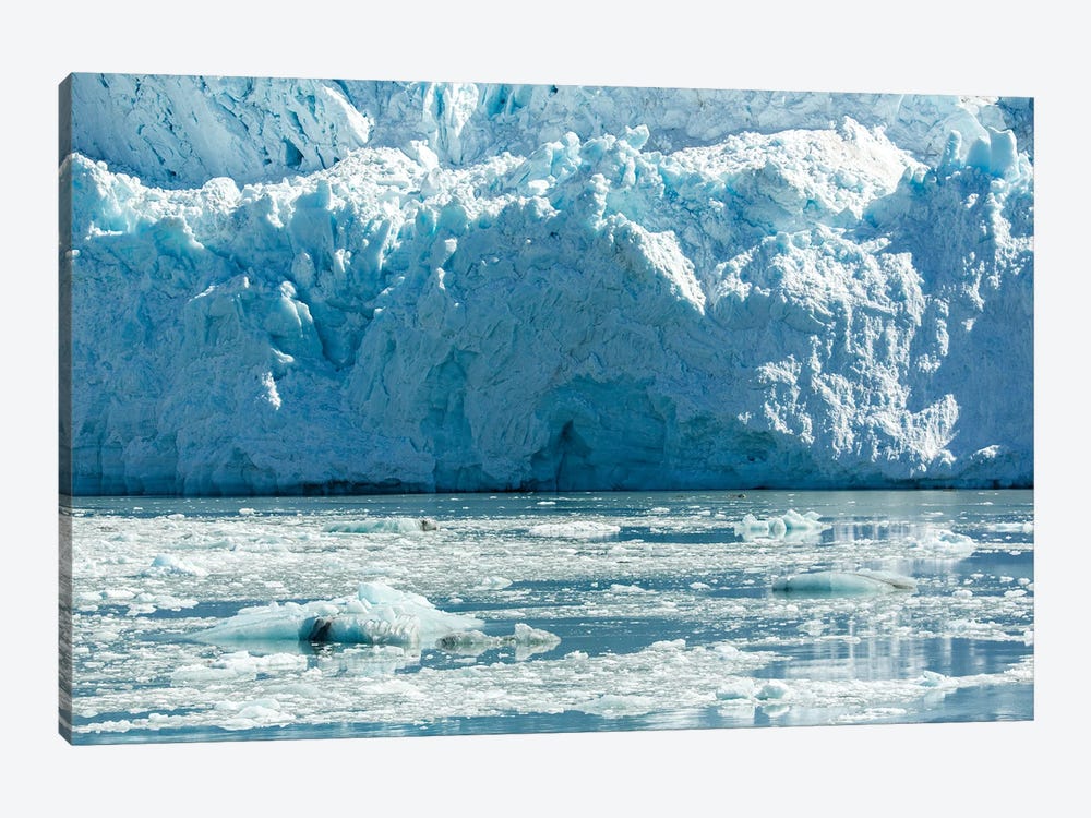 Hubbard Glacier by Janet Fikar 1-piece Canvas Wall Art