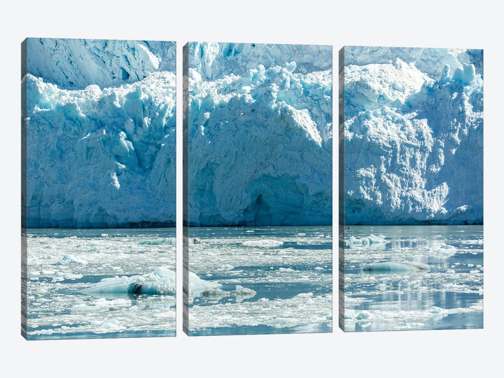 Hubbard Glacier by Janet Fikar 3-piece Canvas Artwork