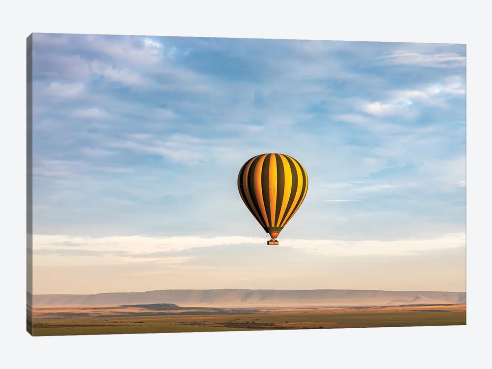 Up And Away by Janet Fikar 1-piece Canvas Print