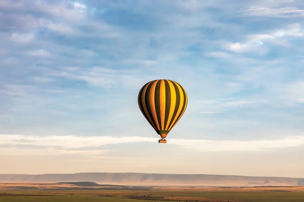 Janet Fikar: Up And Away by Janet Fikar