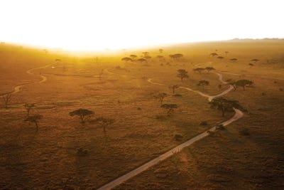 Africa At Sunrise by Janet Fikar framed wall art