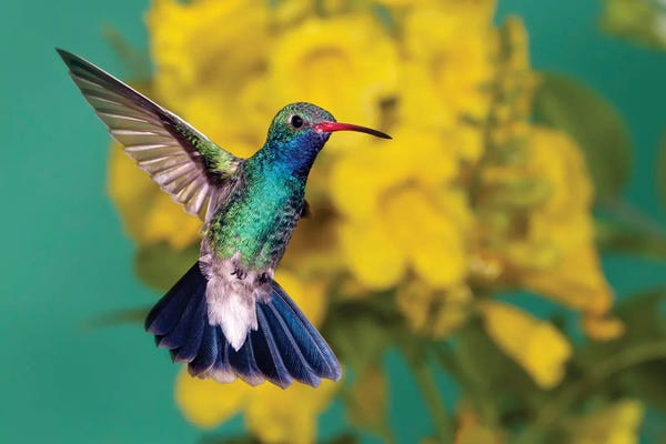 Green: Detailed Beauty by Janet Fikar