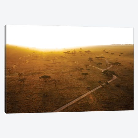 Africa At Sunrise Canvas Print #JFK5} by Janet Fikar Art Print