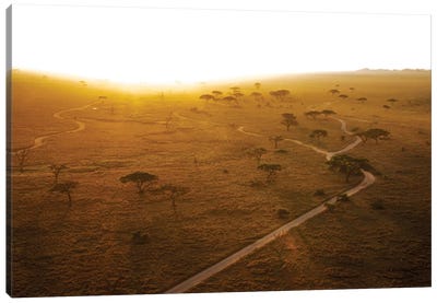 Africa At Sunrise Canvas Art Print - Janet Fikar