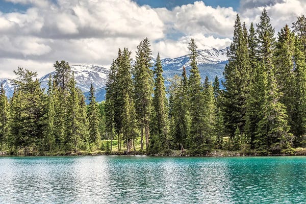 Alberta: Jasper Lake by Janet Fikar
