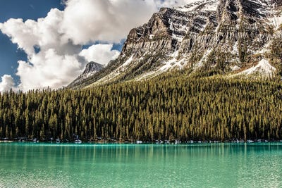 Natural Beauty by Janet Fikar art print