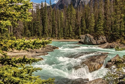 River Side by Janet Fikar framed wall art