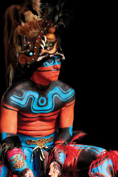 Tribal I by Janet Fikar wall art