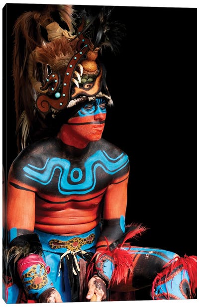 Tribal I Canvas Art Print - Janet Fikar