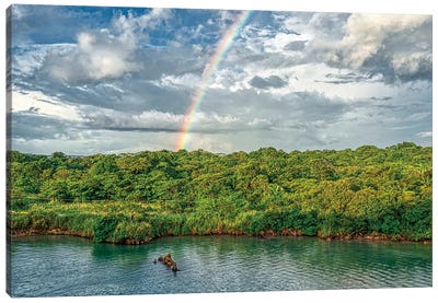 Rainbow Over Panama Canvas Art Print - Janet Fikar